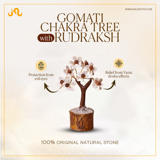 Authentic Gomati Chakra Tree with Rudraksh