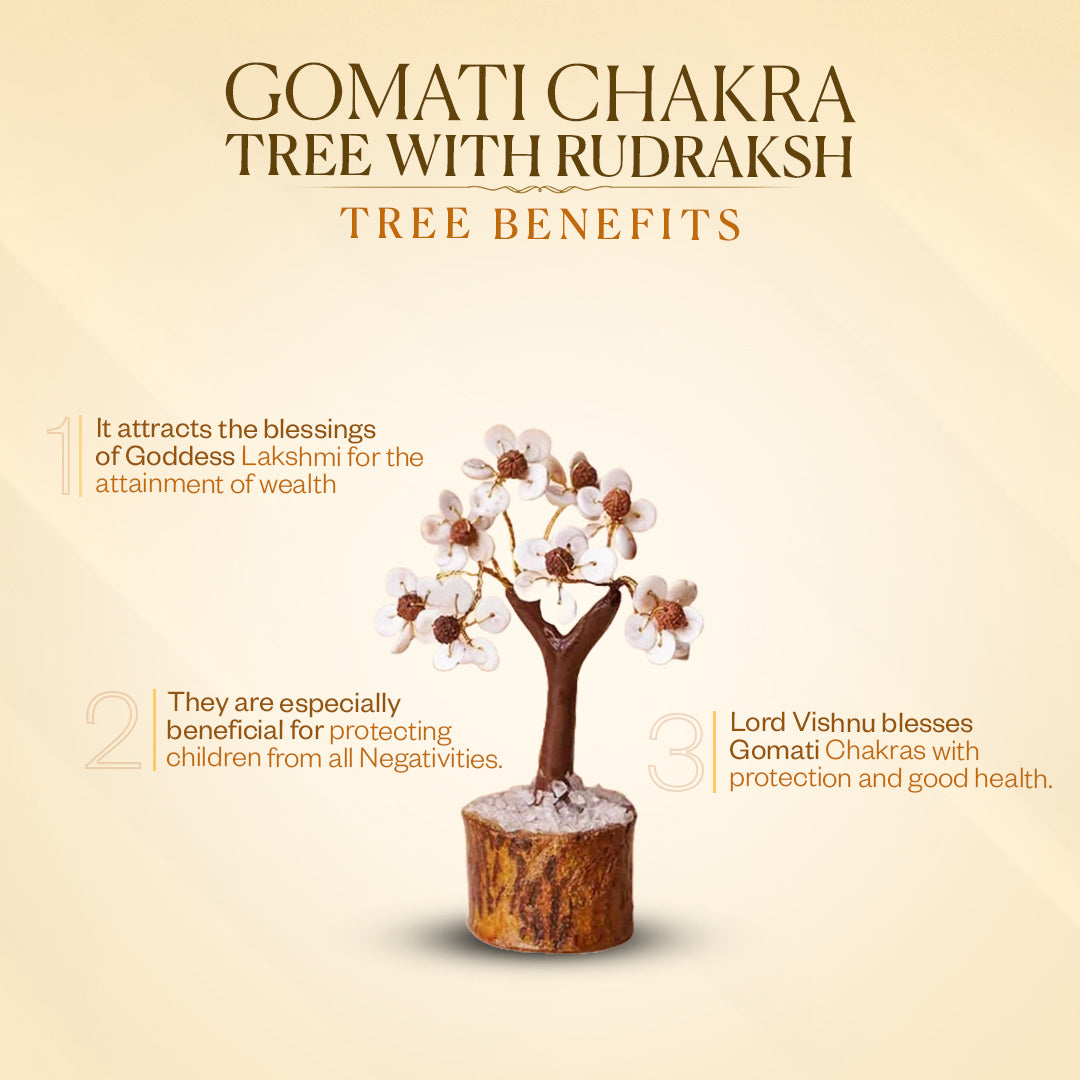 Authentic Gomati Chakra Tree with Rudraksh