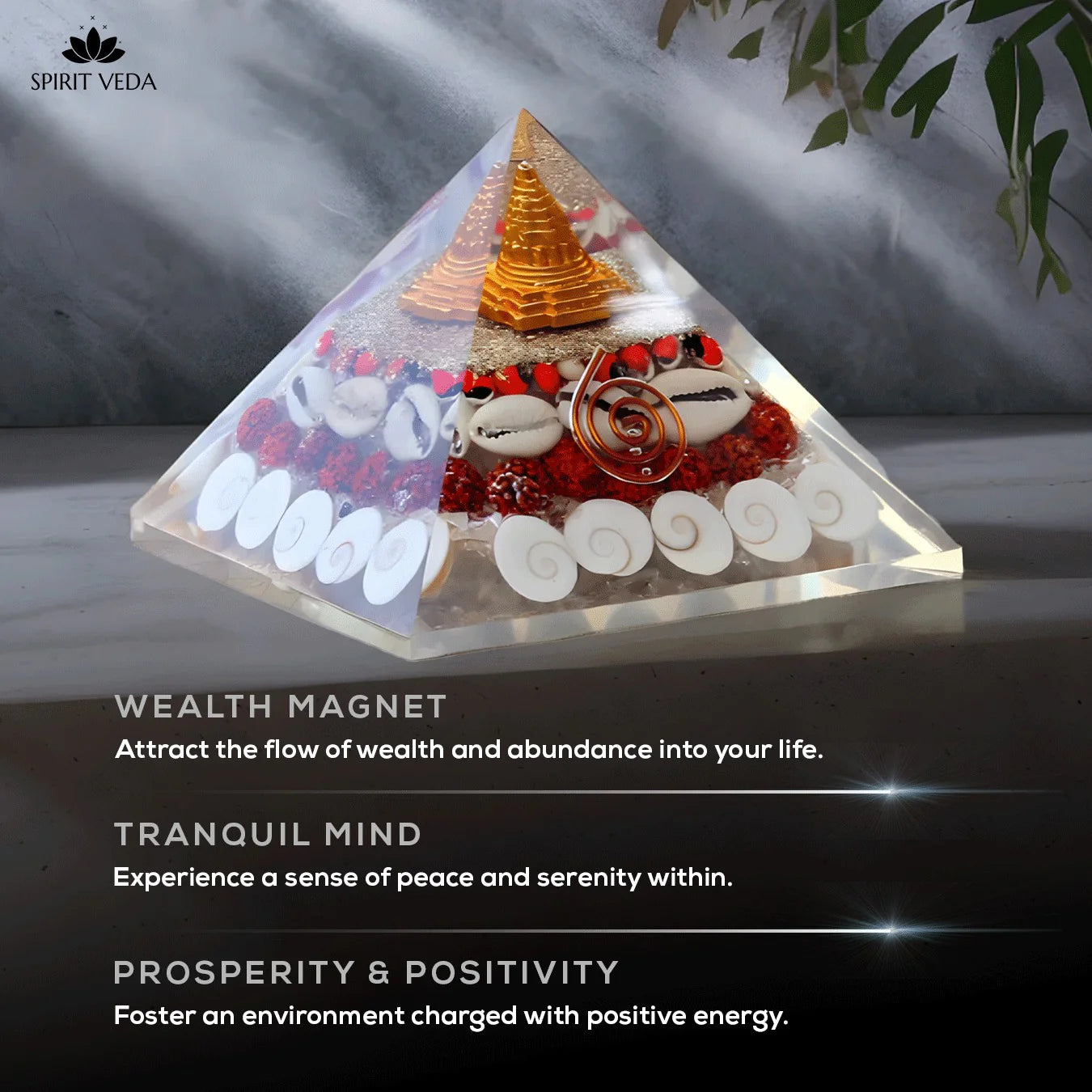 Wealth Attraction Laxmi Yantra